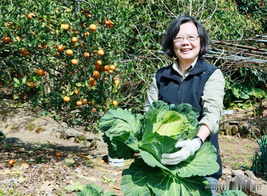 蔡英文持续保持曝光率，想干什么？赖清德同意了吗？

各位不知道有没有发现
最近台