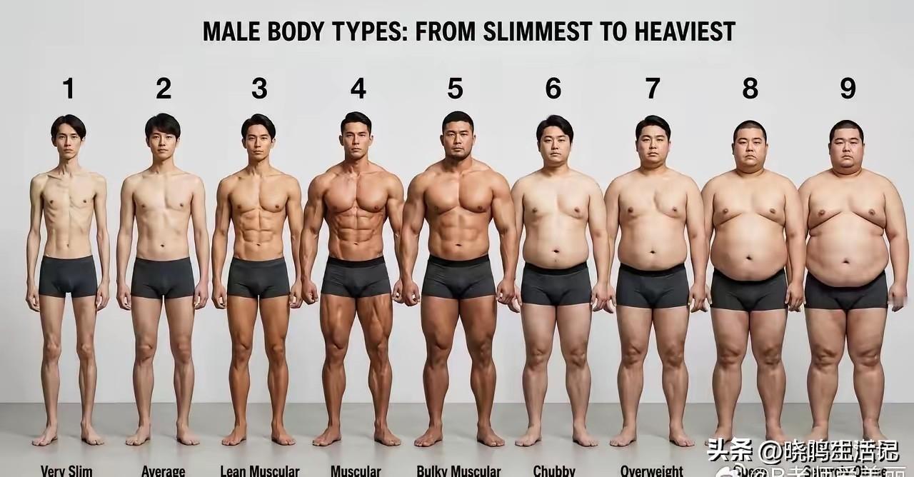 我看看，有多少人是6号身材的。