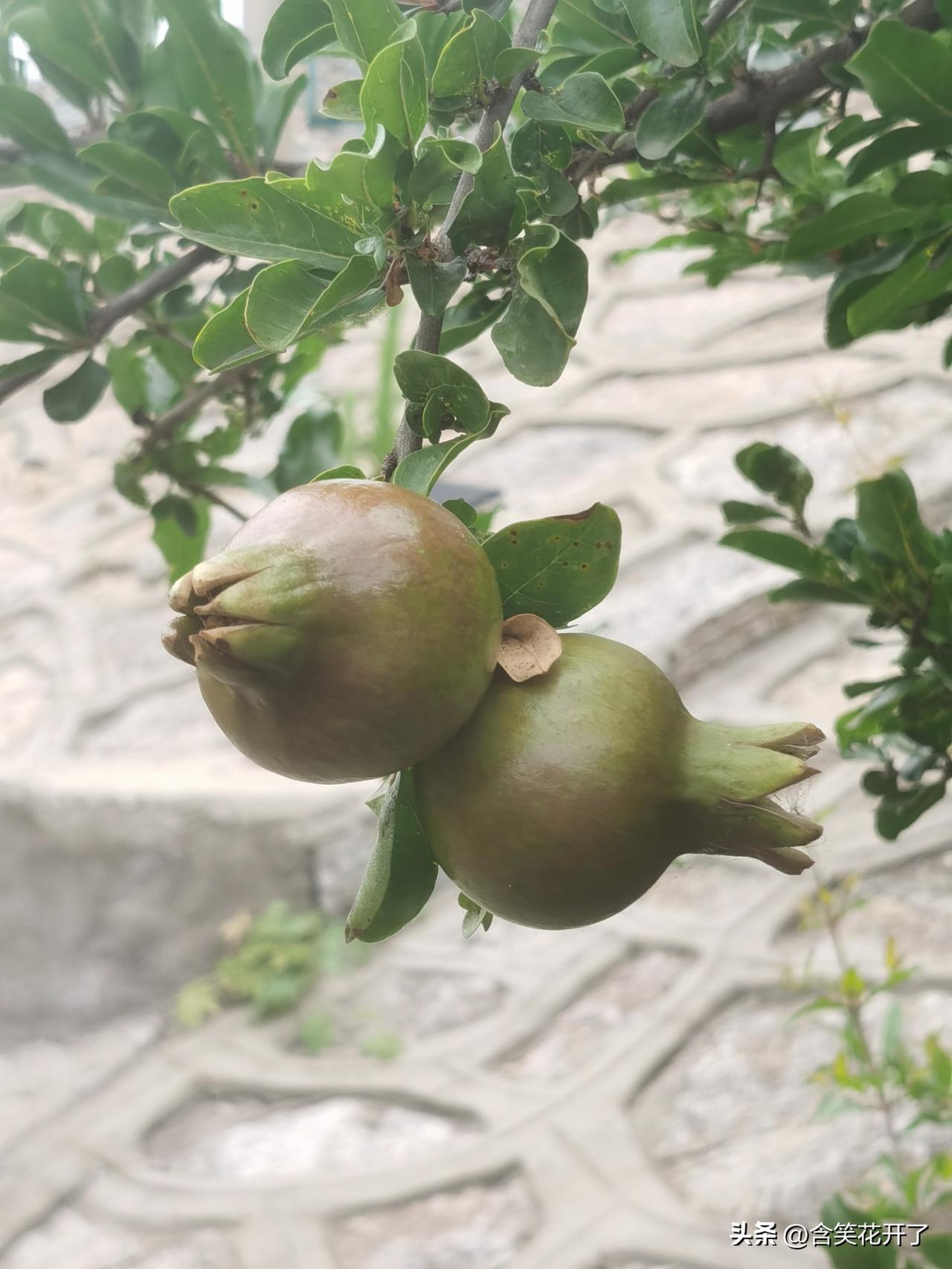 董路约战孙继海已经有几天了，孙继海那边至今还是金口难开。

这哪里是约战？分明是