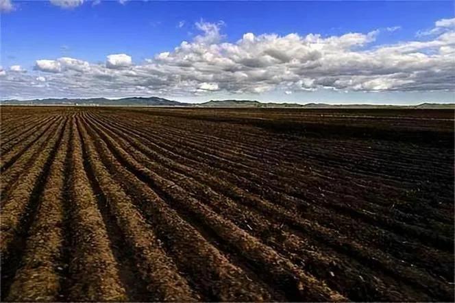 老说的“上五县”——温（江）、郫（县）、崇（州）、新（都）、灌（县，现都江堰），