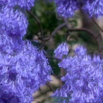 人生就那么短，不要为了变成别人喜欢的样子，委屈了自己。该开心时开心，想发泄就发泄