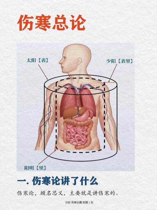 伤寒论笔记02篇｜伤寒总论