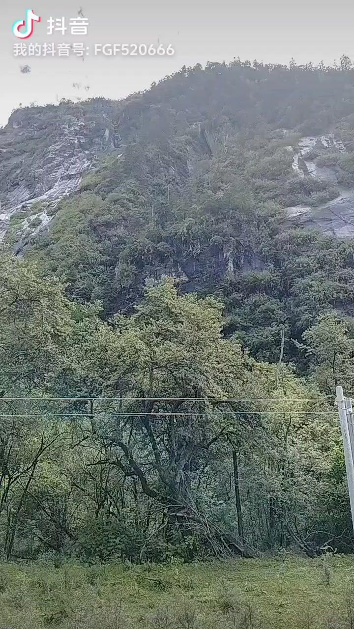 站在山脊上，东边的雪山亮得像白银，风把我的声音送到三座山外。放马的人啊，你听见了