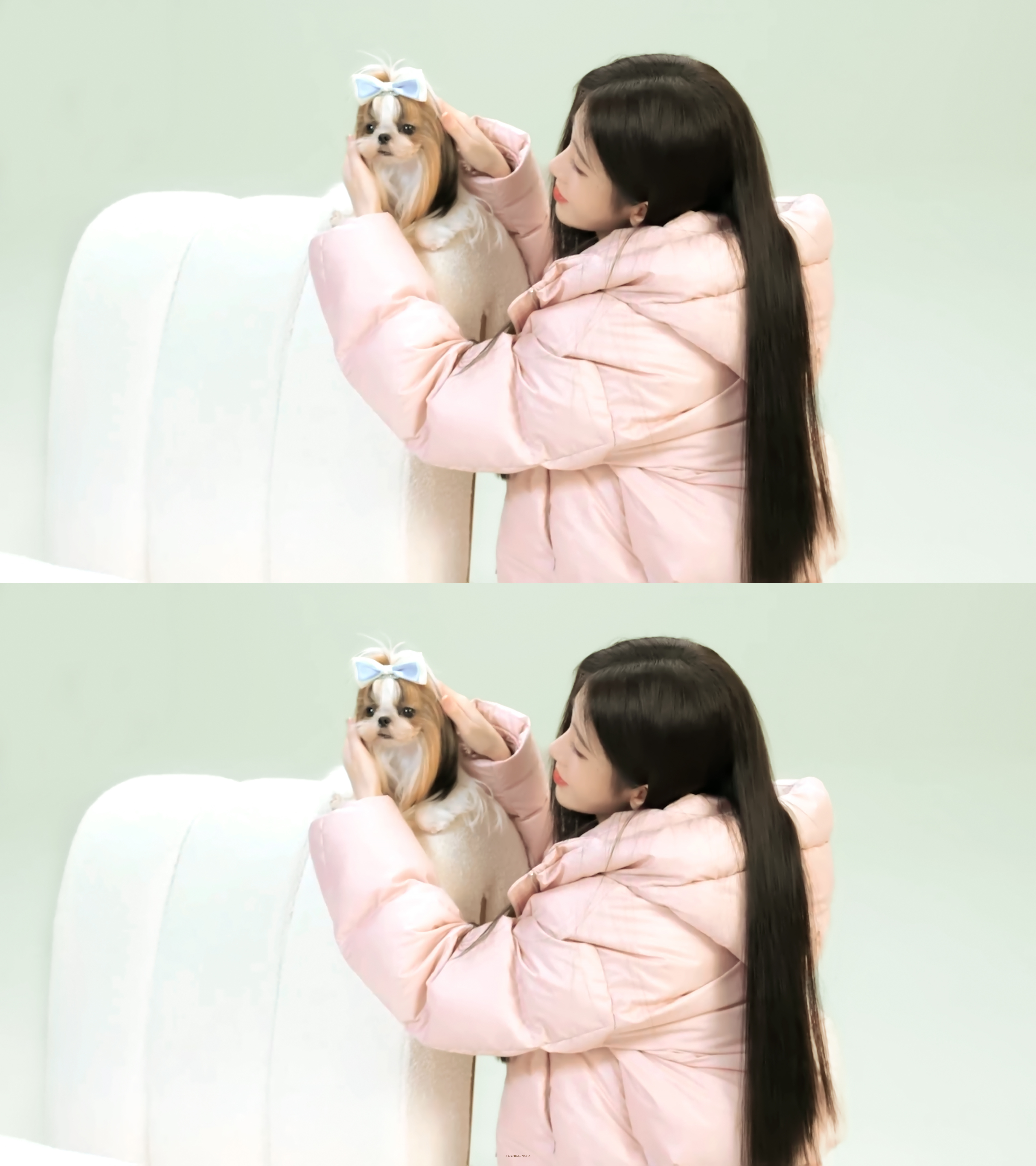 ʕ·͡ˑ·ཻʔ  🐾 ​​​