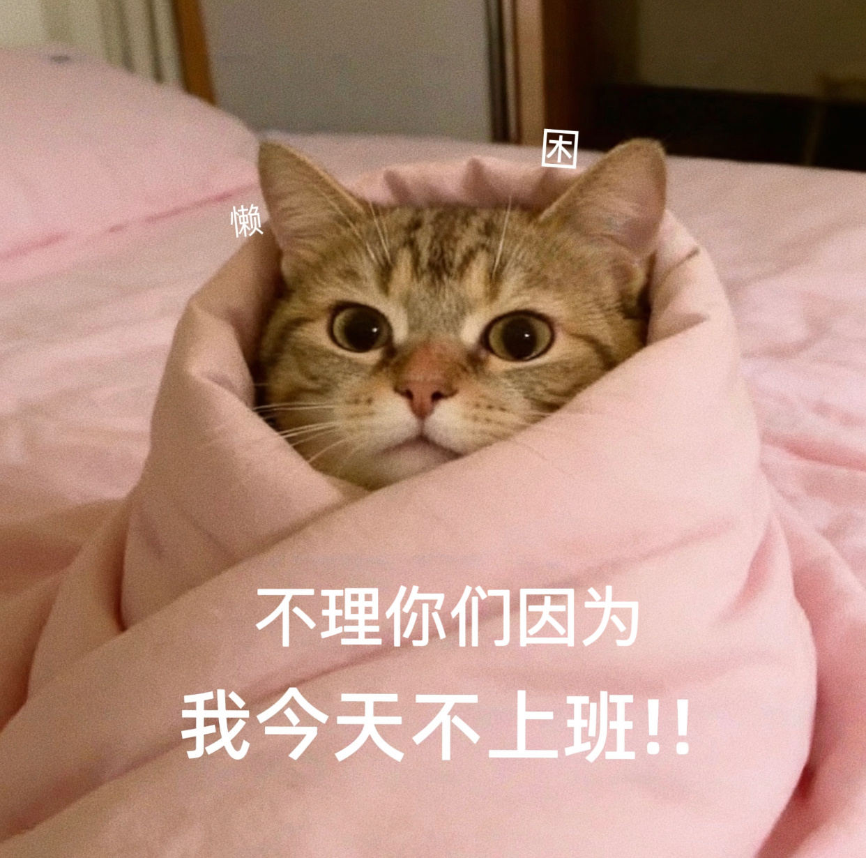想象中星星vs实际上星星 