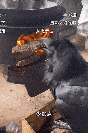 《你还看看看熟没熟》！[捂脸]