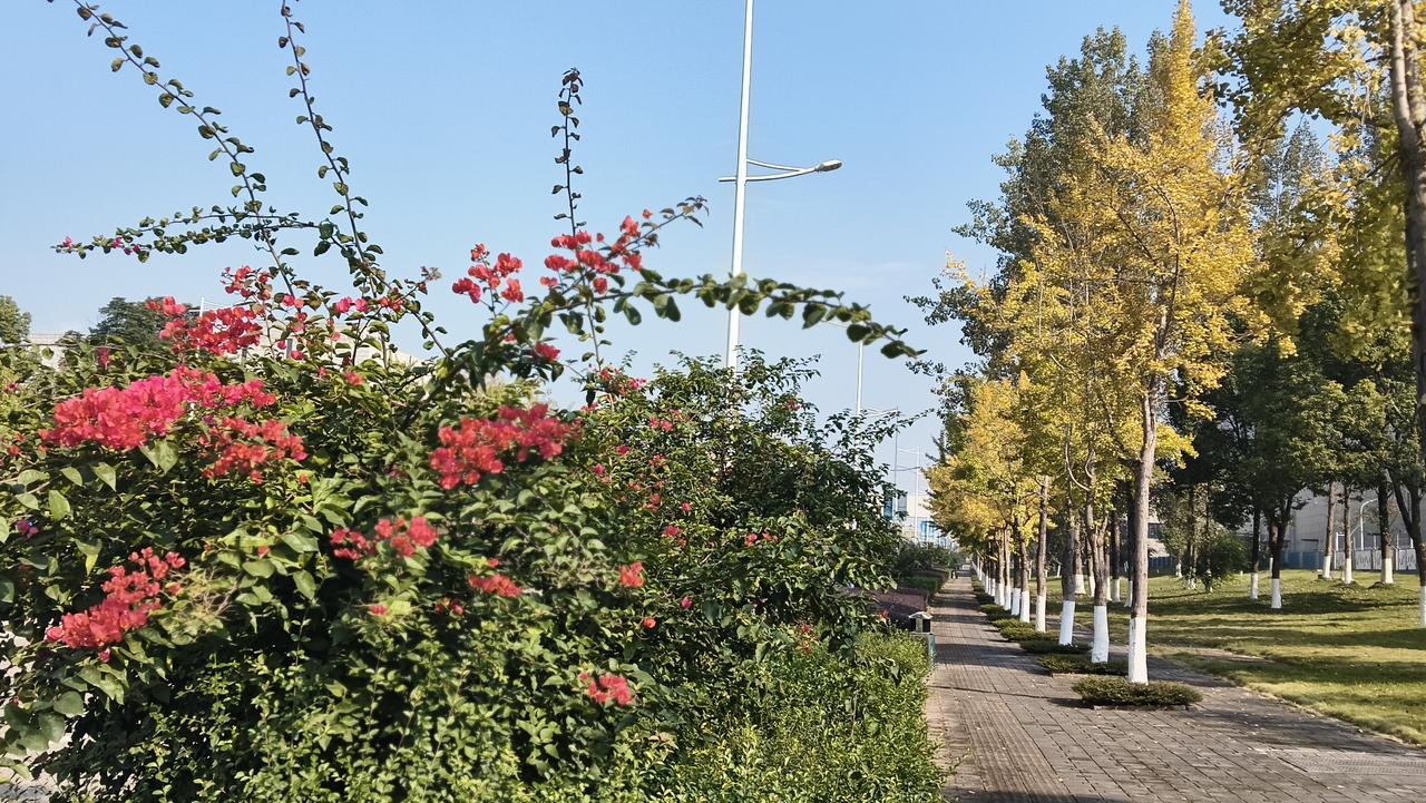 谁家有愿意到海外发展的孩子，可以关注一下。
中石油海外项目招聘：
1、计划工程师