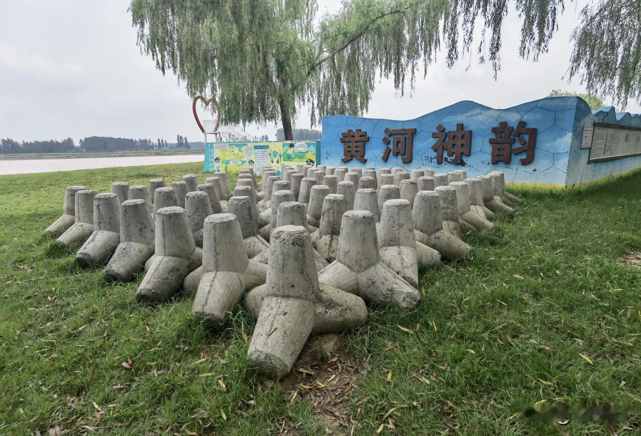 这是个什么东东？
紧挨着黄河的山东邹平齐东古城遗址公园，陈列着一堆这些东东，整体