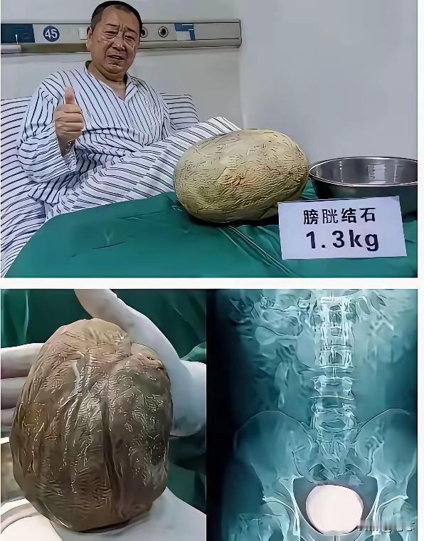 看来第一金丹的名号要易主了