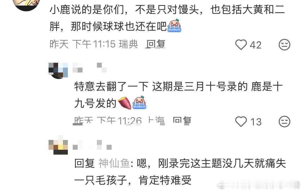 鹿晗五哈第六期录完9天后猫去世了哈哈哈哈哈 刚知道，鹿晗的猫三胖在他录完五哈宠物