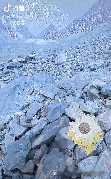 “上人民日报了！”新疆，男子爬天山，在爬到海拔大约3000米的位置停下休息，没想