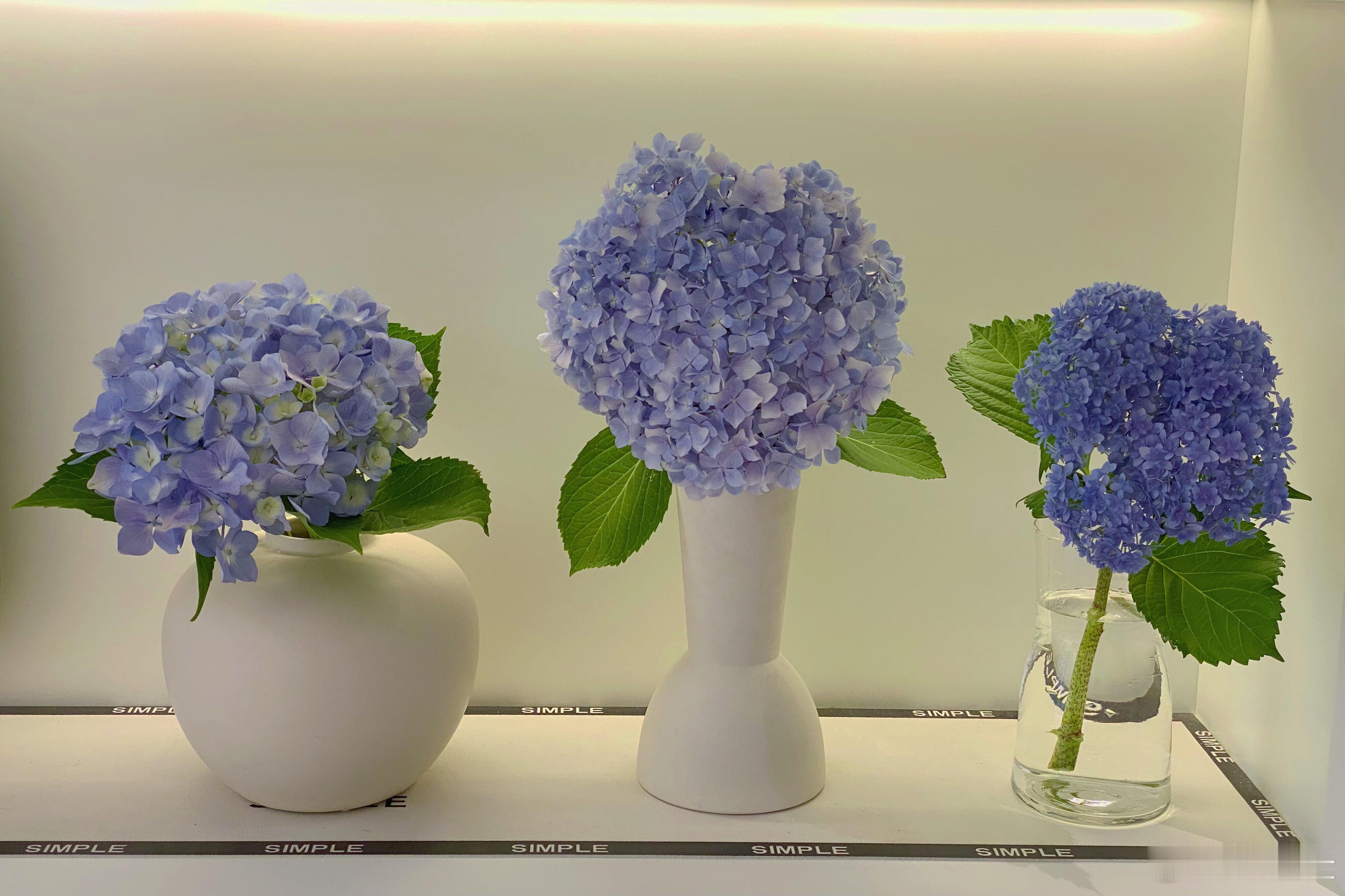 以最大的热情去做那些构成我每日生活意义的事情感生活人生的100种可能