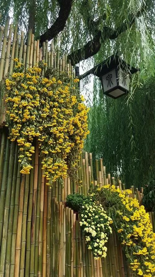 一年之计在于春，一日之计在于晨，成功始于新开元，希望我们一家人在将来的日子里，阖