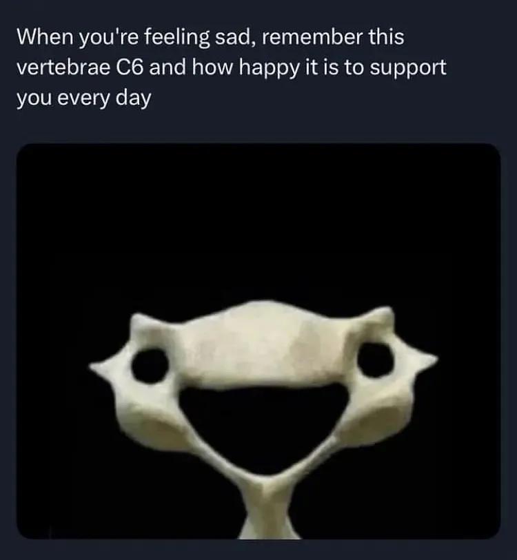 当你感到悲伤时，请记住这节C6脊椎骨，以及每天支持你是多么幸福。