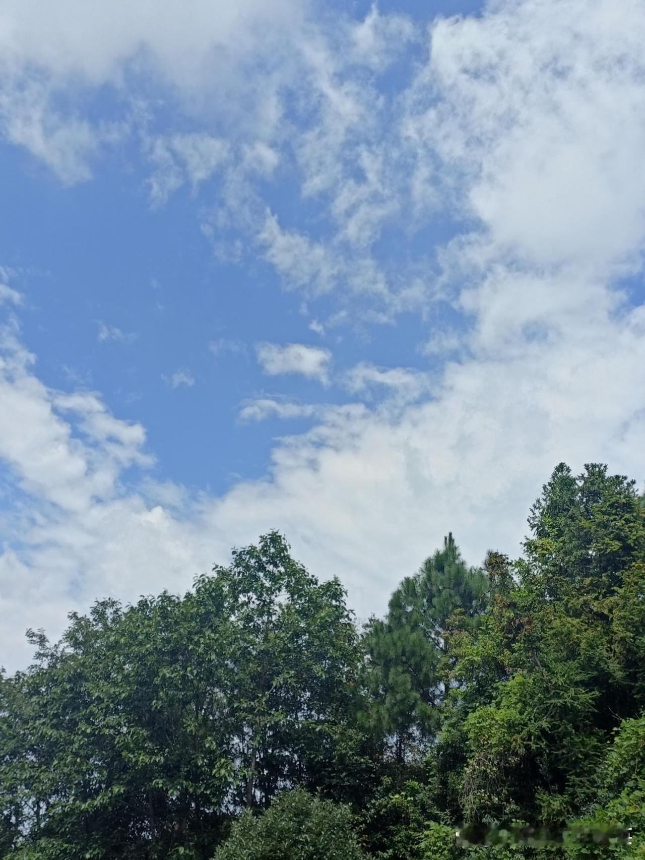 春日漫游凤凰山｜徒步路线推荐

春日的阳光洒在苍山翠岭间，想感受自然与人文的交融