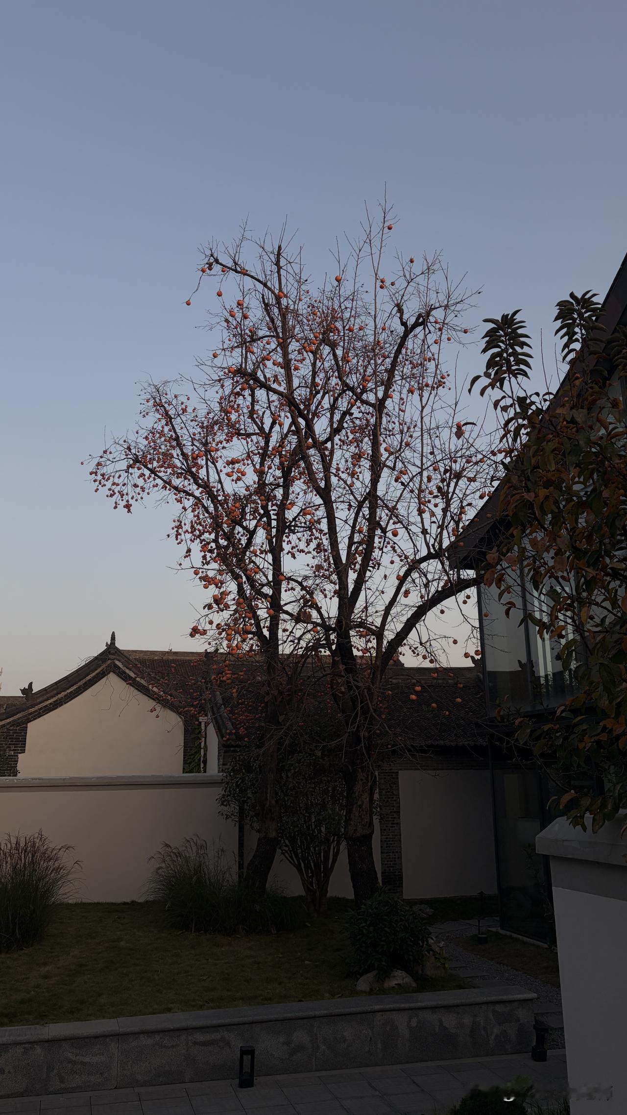 你的城市气温下降了吗枯藤老树昏鸦，深秋就是这样残缺的美，不知不觉已经进入冬季，以