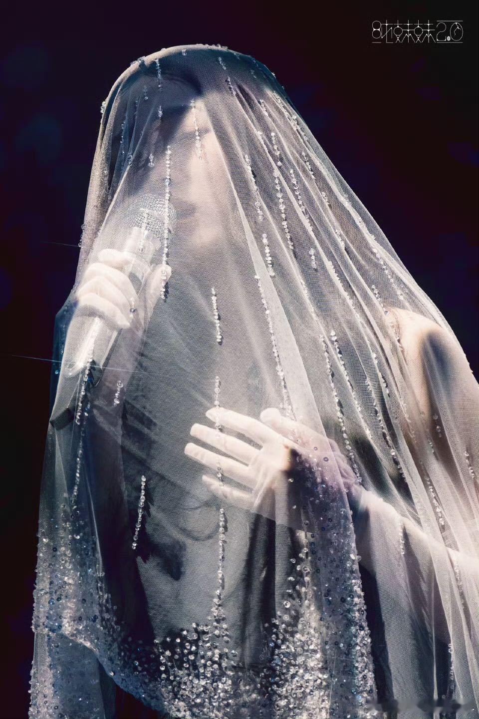 单依纯风吹面纱珠玉现世 面纱微动，珠玉闪耀，她的歌声温柔而有力量，让观众仿佛置身