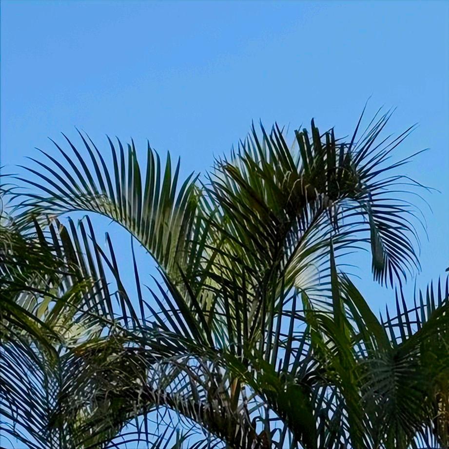 信息   事关青岛市人大的
 
12月18日11:00，事关青岛市人大的信息传递