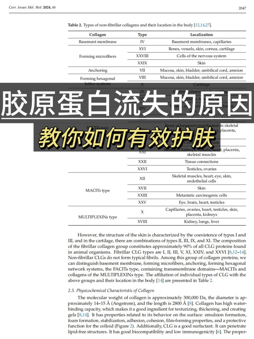 护肤科普，胶原蛋白流失的原因