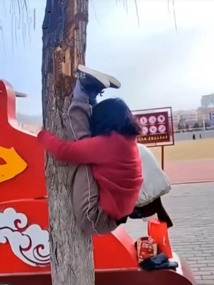 奇葩的锻炼方式！
     想知道她是咋上去的？更想知道她是咋下来的？