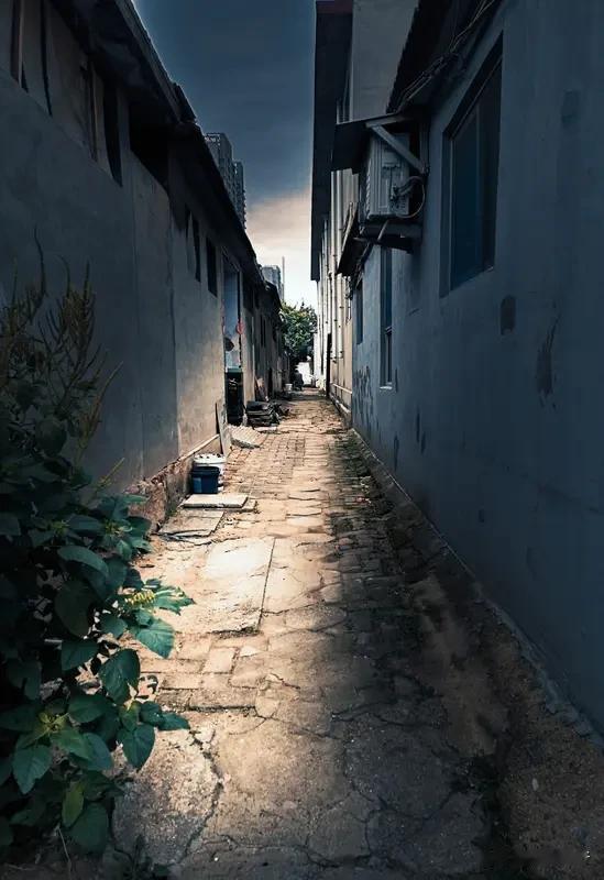 分享一首顾城的《小巷》：

小巷又弯又长
没有门，没有窗
我拿把旧钥匙
敲着厚厚