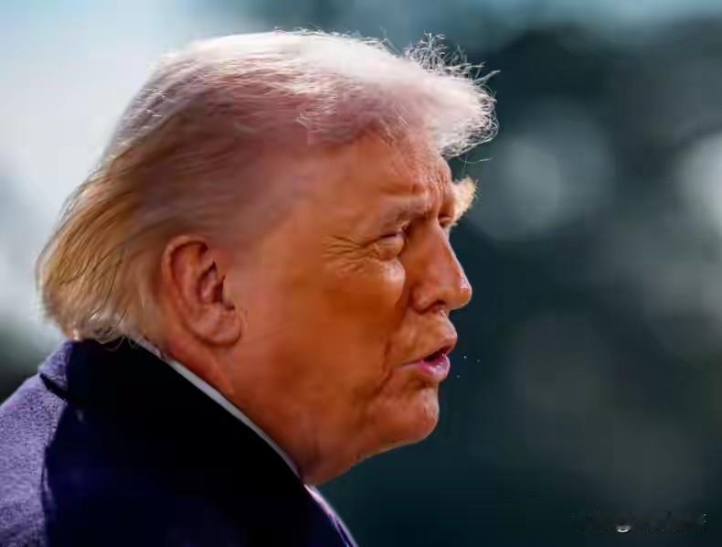 谁给伊朗卖武器，美国就加征50%重税！特朗普这招到底在针对谁？据央视新闻报道，当