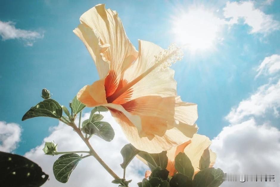 50岁，30年工龄，二线边缘化，7休2，准时上下班，基本没人说话也基本没人喊吃饭