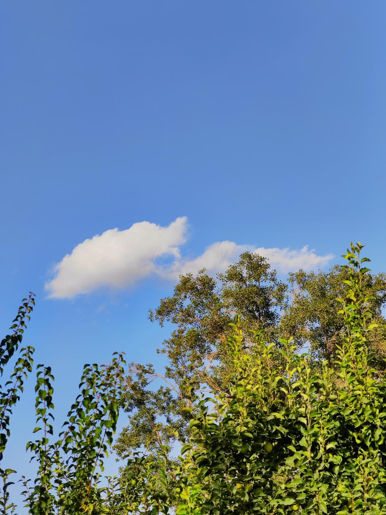 蓝的天空挂满了深深的想念，你看云就是风知道！