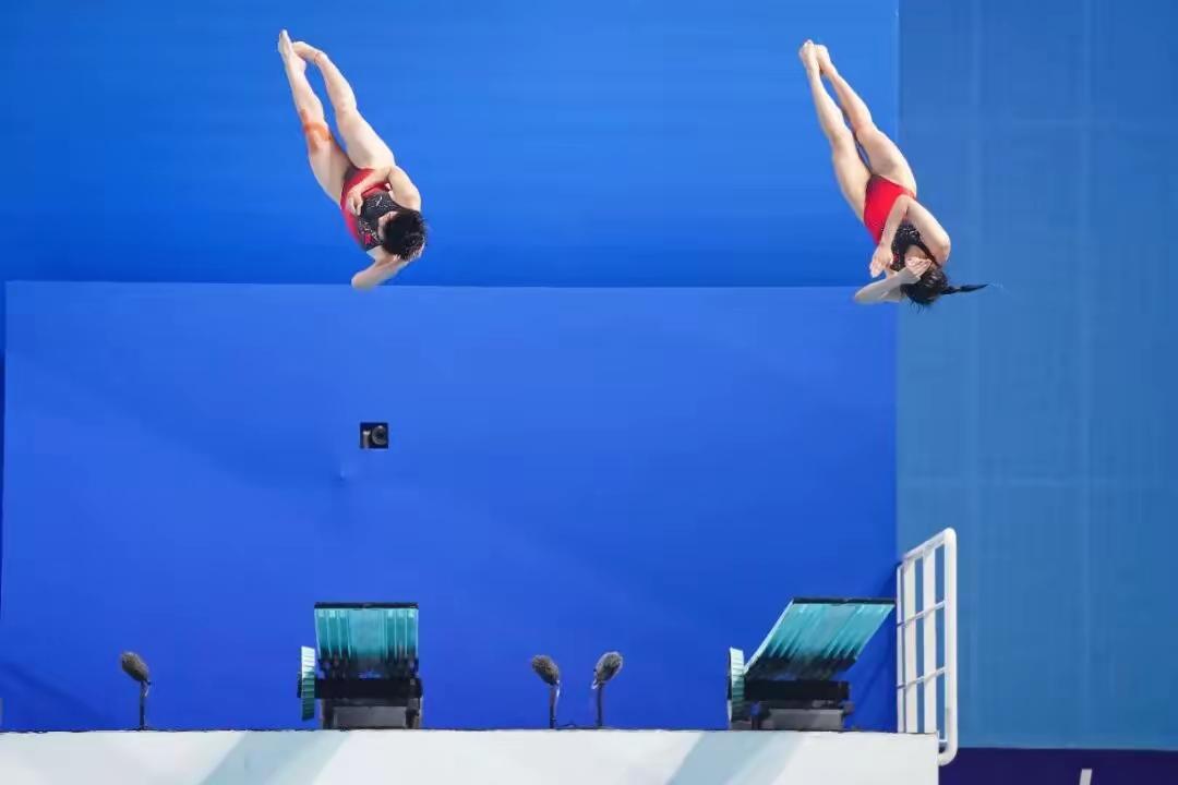 全红婵今夜归来，是王者归来还是最后一跳，让我们持续以待。
本届十五运动会的跳水票