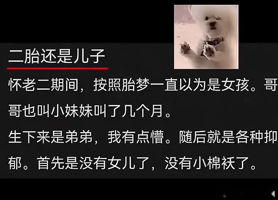 “想生个血包，结果又来个吸血鬼哈哈哈哈哈” 