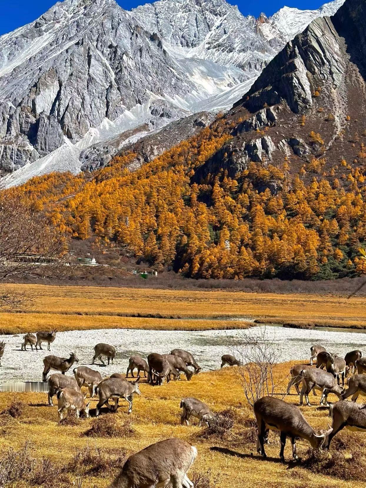 上联：一山一水一风景，如何对下联