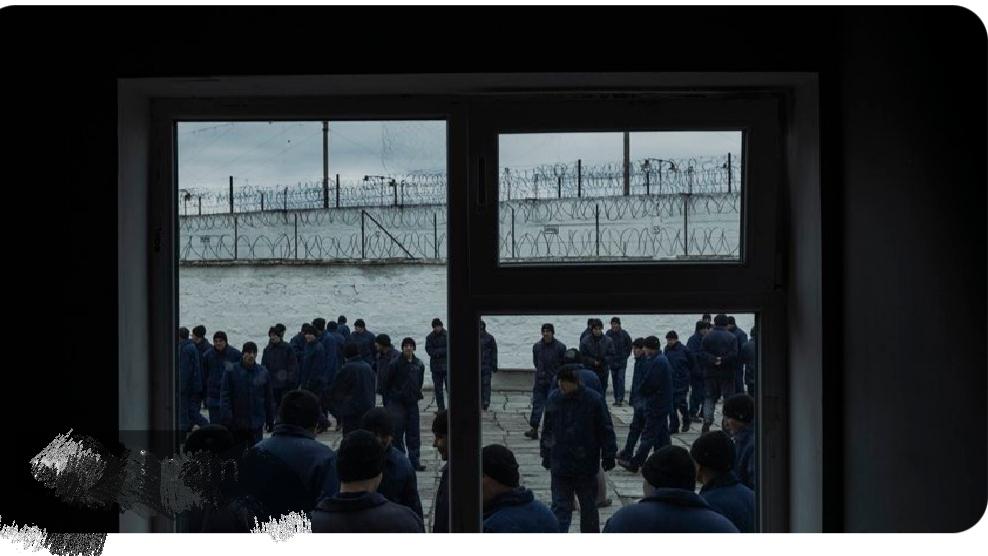 西方媒体歪曲报道

俄罗斯被释放的战俘们面临着猜疑和羞辱、停发薪水以及重返前线的