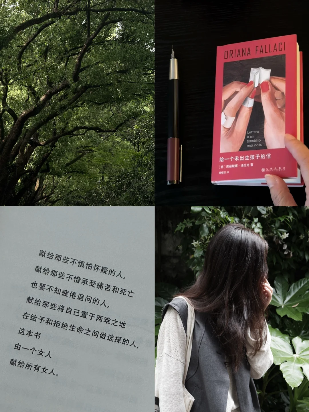 行走 阅读 发现｜夏天是一切正在发生的事