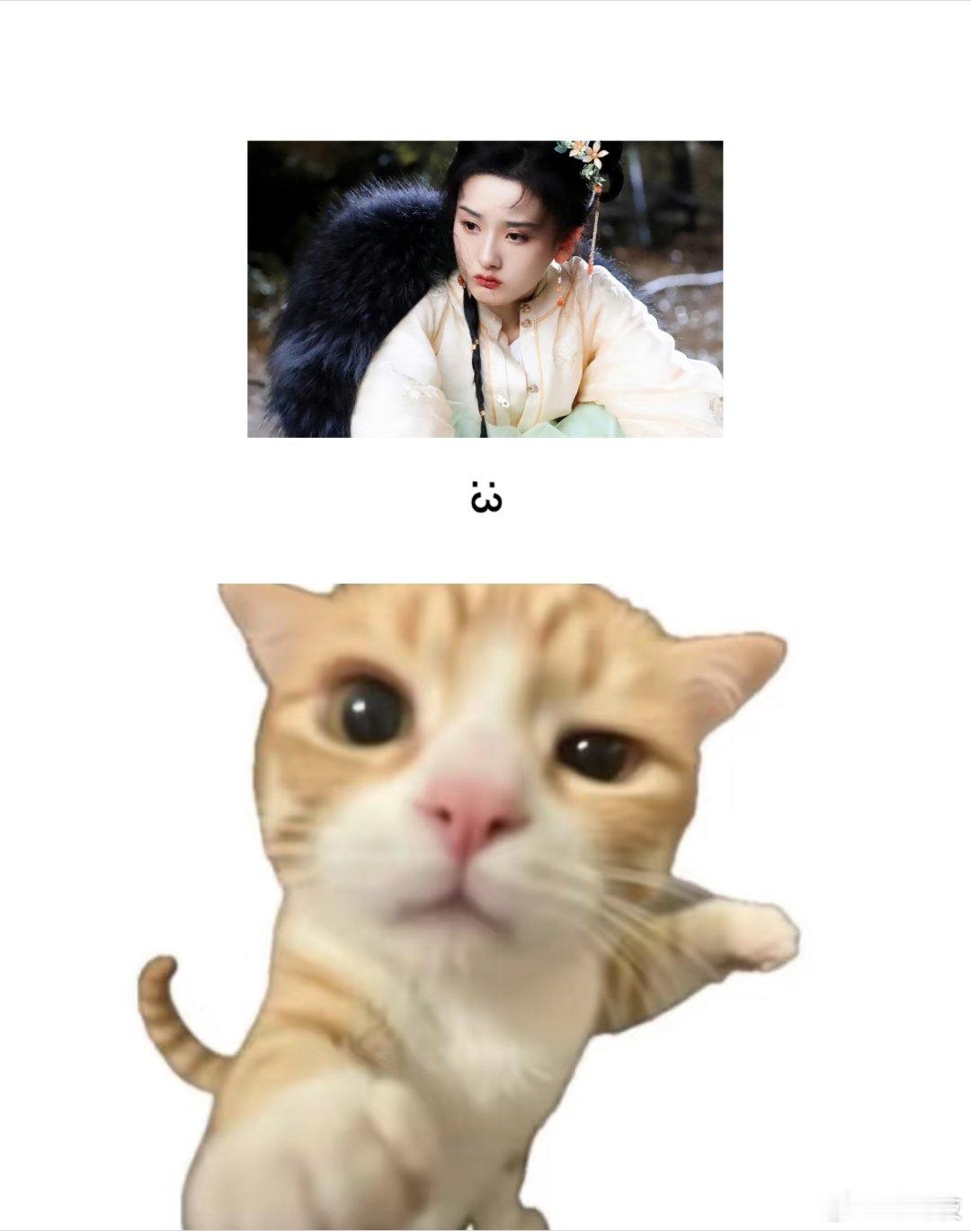 宋祖儿陈鑫海新剧先求婚再表白 直球提亲惊艳全场，嘴硬表哥藏不住的心动，一句满心喜