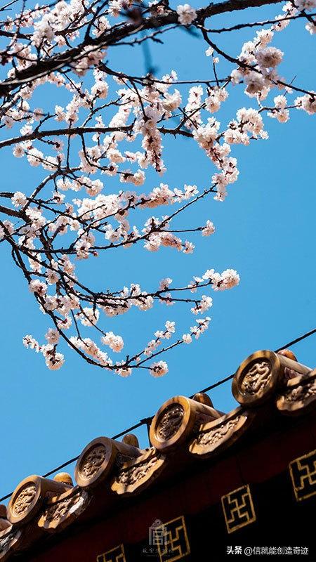 寒意随风去，暖意踏春来。
此刻的心情，明亮如春水，温柔似春风🌸
草绿、柳柔、花