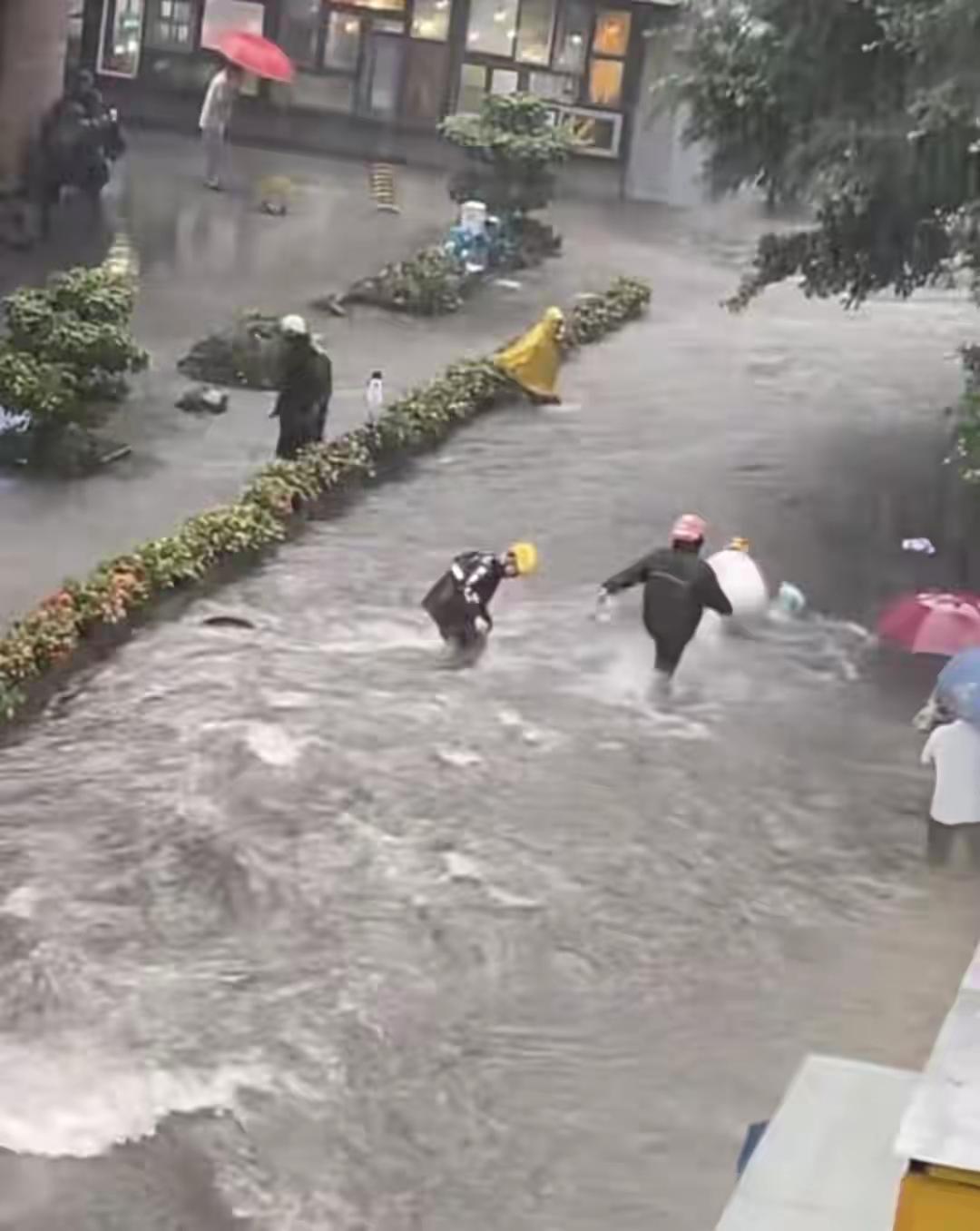 广州暴雨刷屏！5名外卖小哥弃车逆行救人，受访一句话看哭全网
 
广州未来几天暴雨