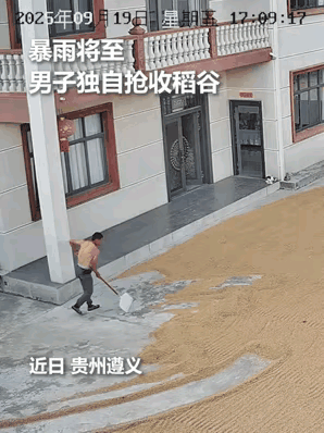 上人民日报了！

暴雨将至

女子出门在外担心家里晾晒的粮食，打开监控，只见丈夫