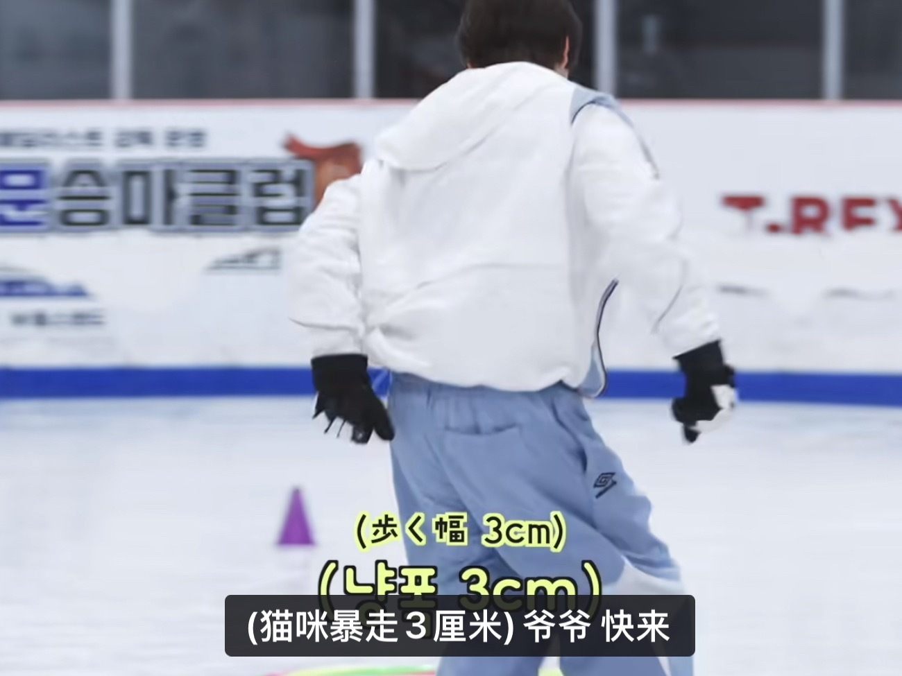 猫咪暴走三厘米