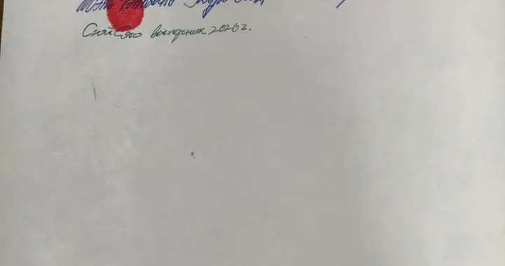陈某某，被遣返