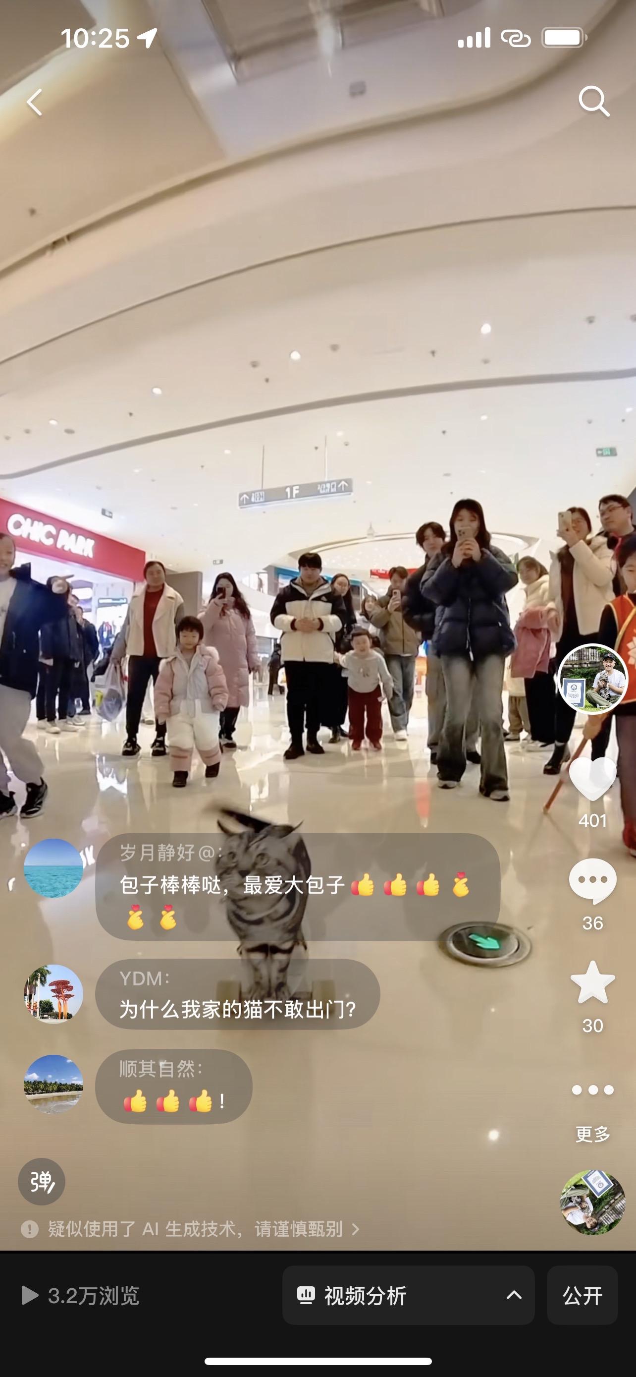 我家猫玩个滑板怎么就变成AI了。