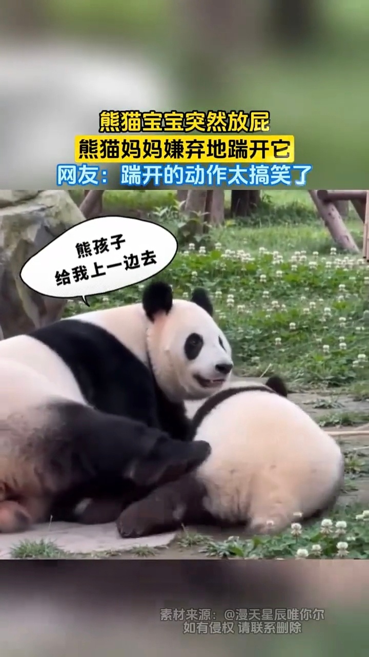 跟我嫌弃我儿时候一毛一样的 