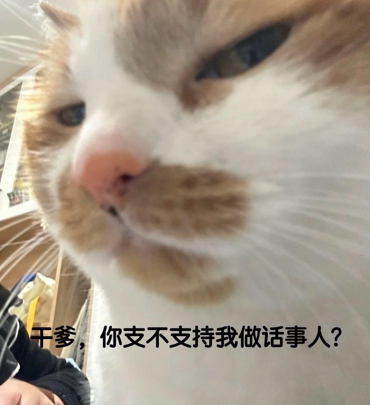像