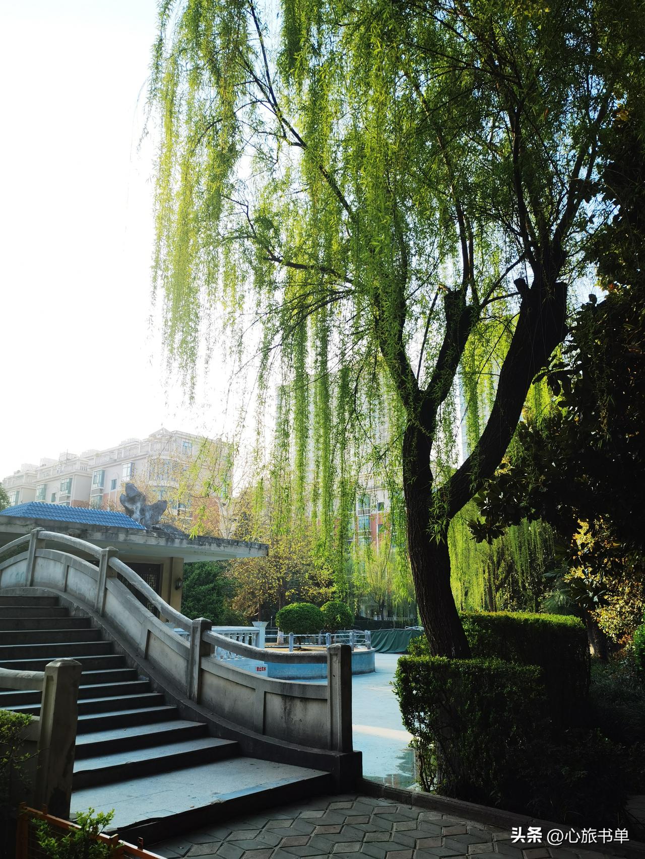 静享岁月,是否真的安好?不一定。岁月你可以静享，但一切并不都能如愿。当我们的人生