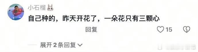 原以为水泡西红花仅是平凡植物，观节目后，其美令我折服。细腻花瓣在水中悠然绽放，宛