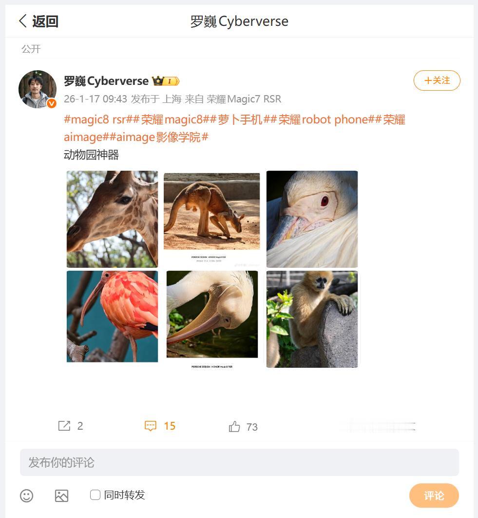 荣耀Magic8 RSR保时捷设计的随手拍的长焦效果怎么样呢？荣耀首席影像工程师