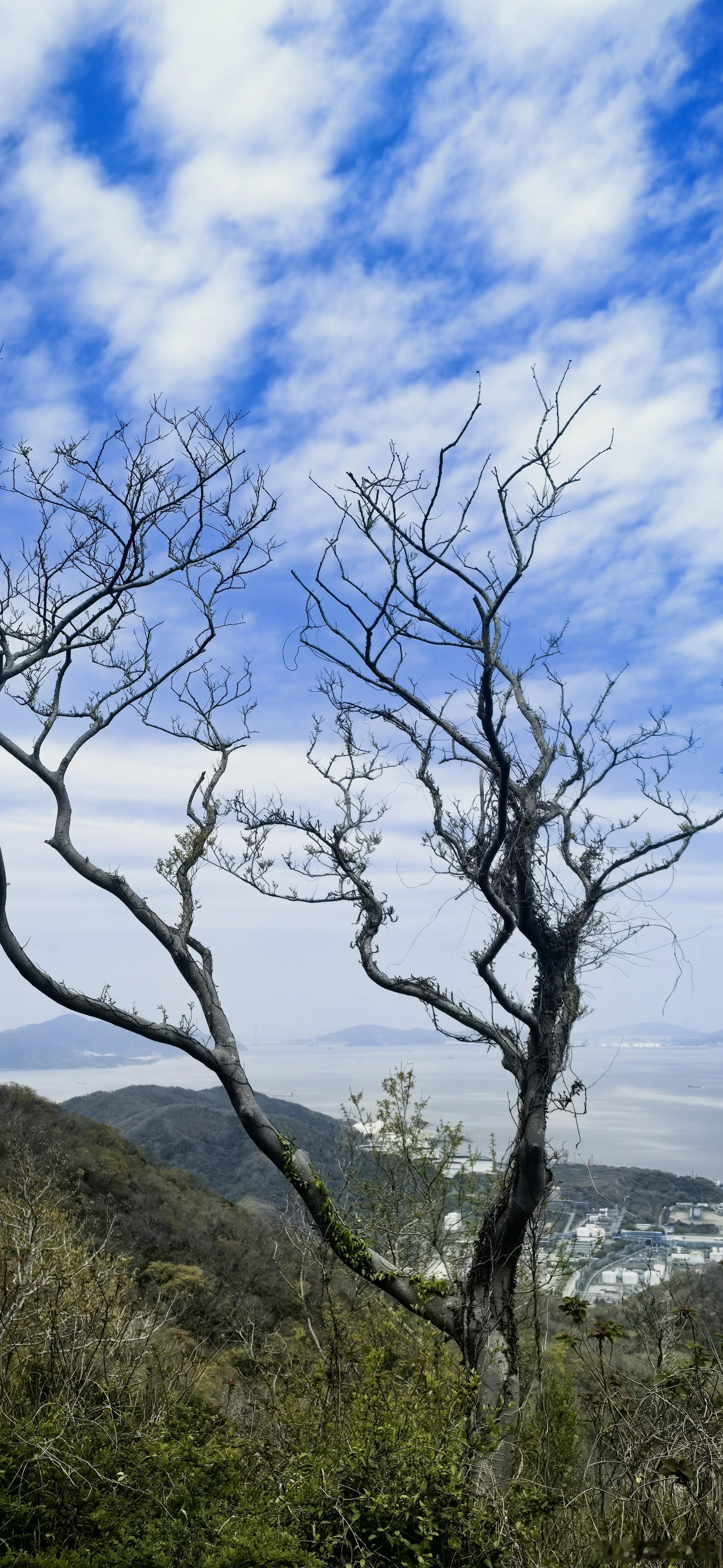 新壁纸  早安！ 