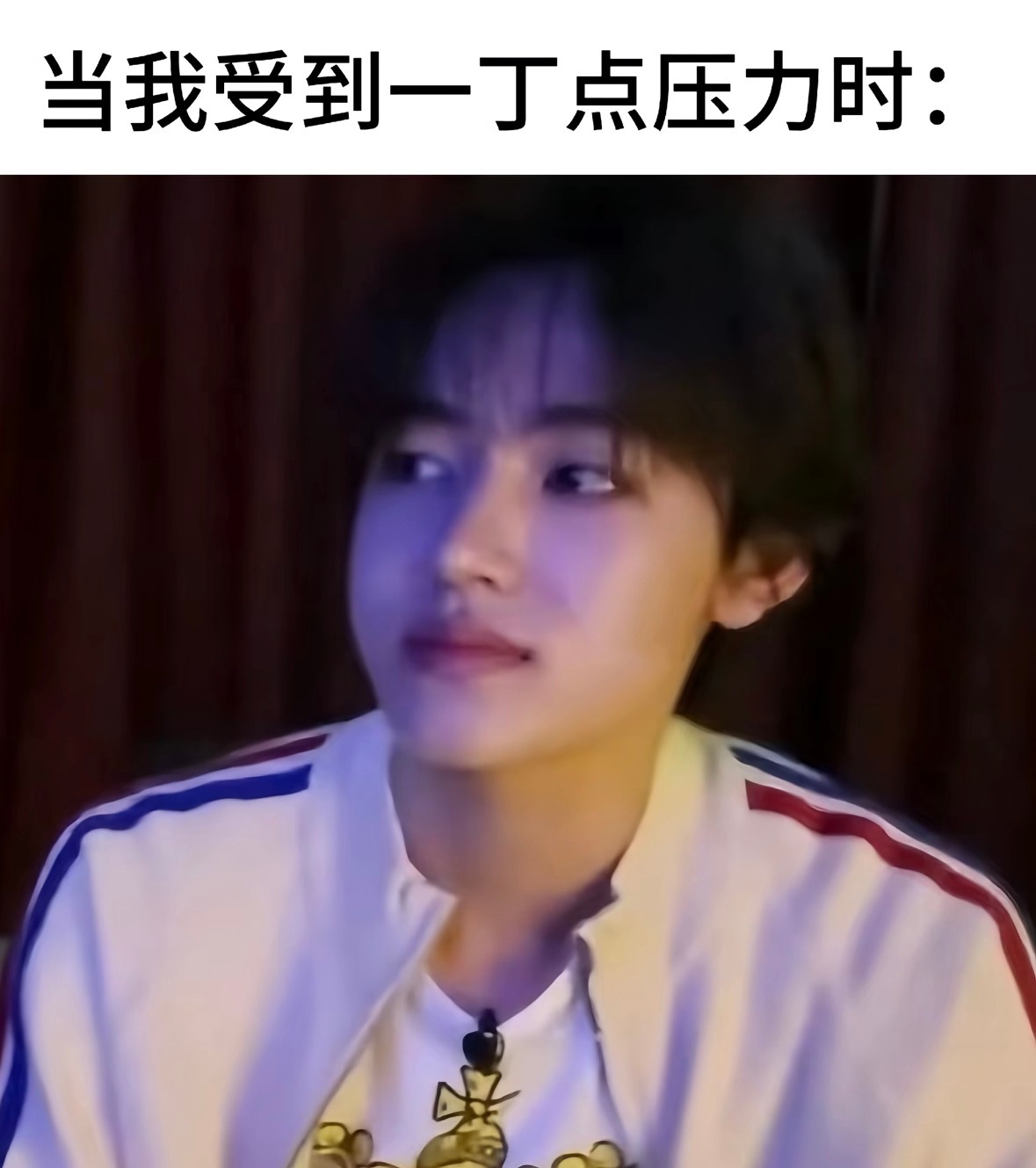 相册里最多的不是严成玹的美照而是他的呆图 