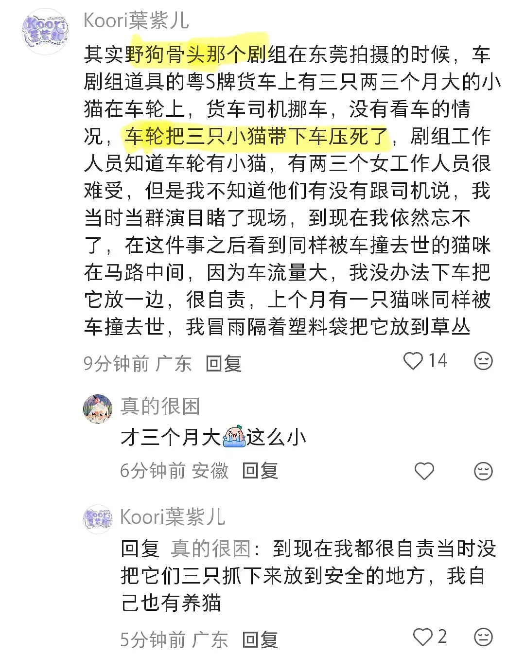 窝趣，野狗骨头剧组撞了三只猫？应该是盲区不小心的吧… 