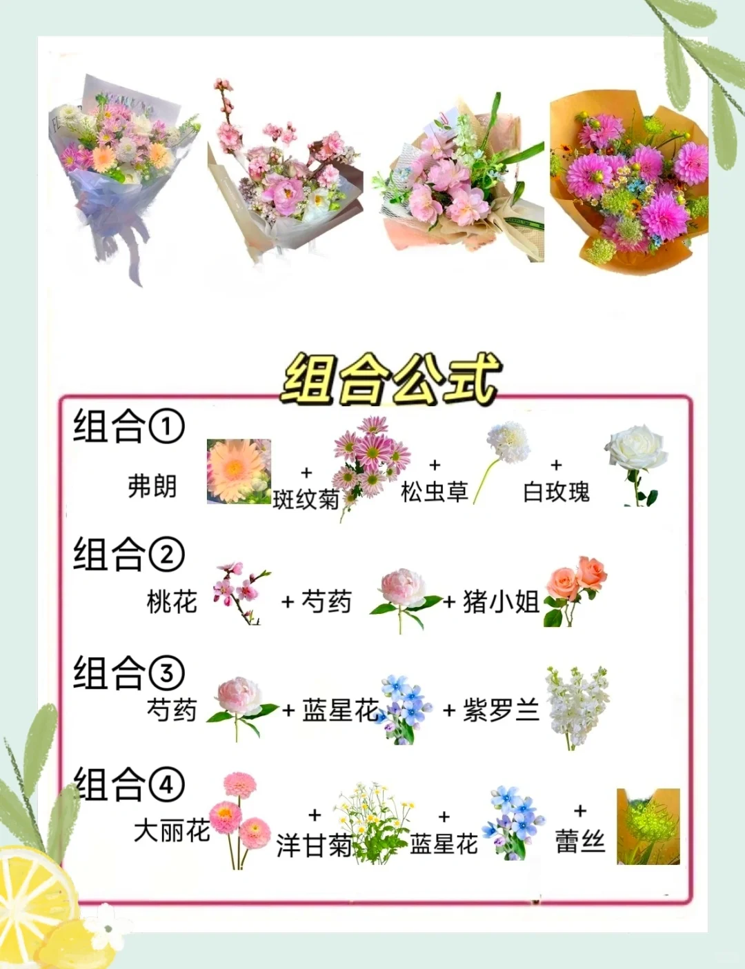 要是有人早点告诉我这些插花搭配就好了