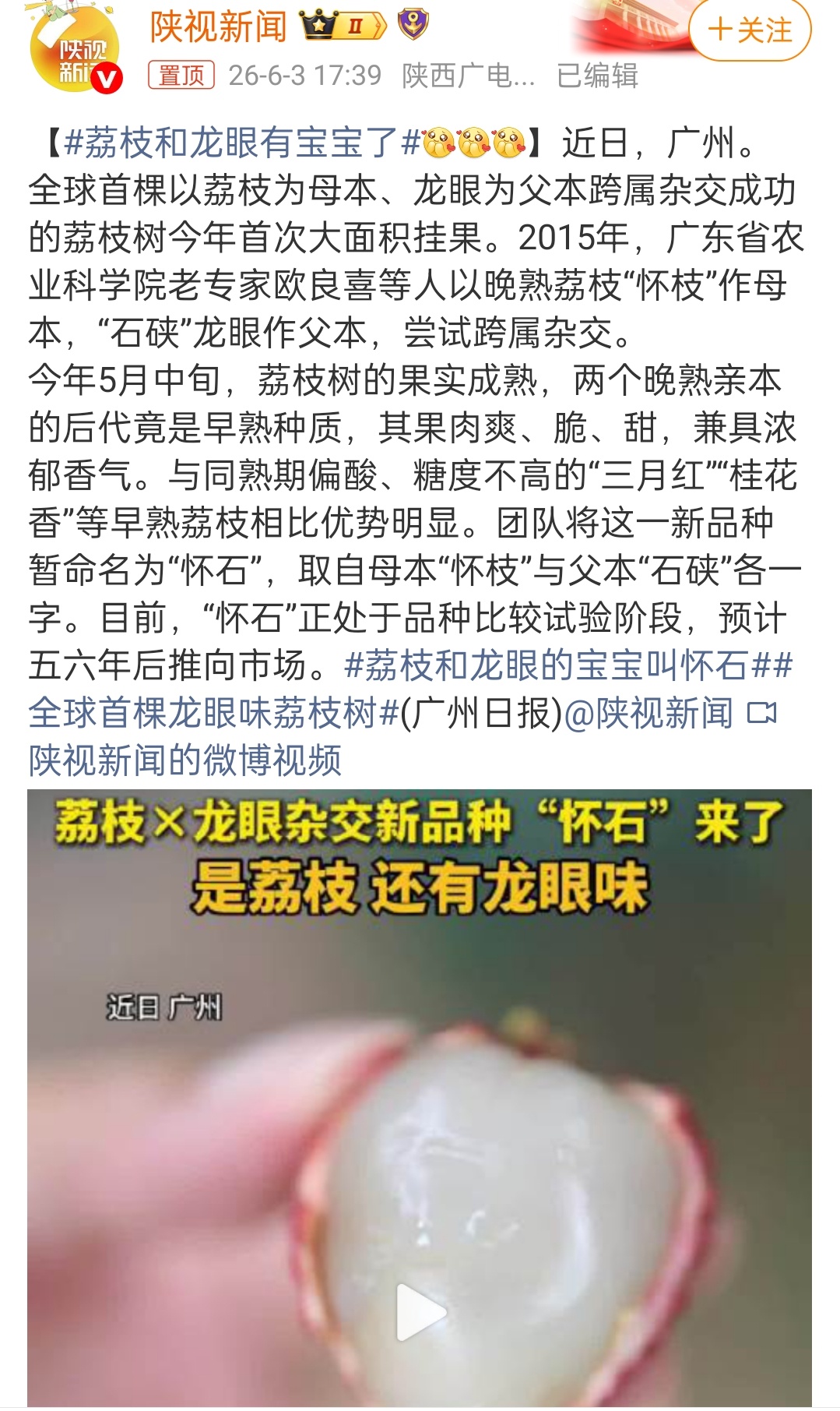 荔枝和龙眼有宝宝了 荔枝和龙眼的宝宝叫怀石？